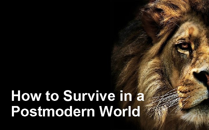 How to Survive in a Postmodern World 