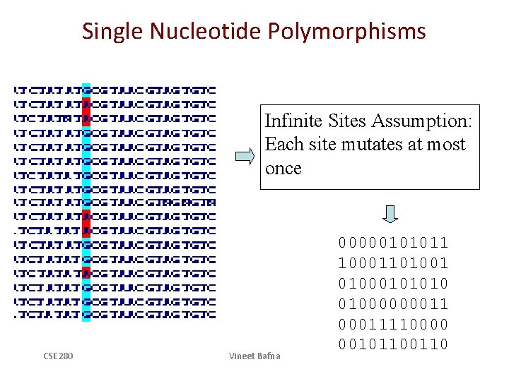 Single Nucleotide Polymorphisms Infinite Sites Assumption: Each site mutates at most once CSE 280