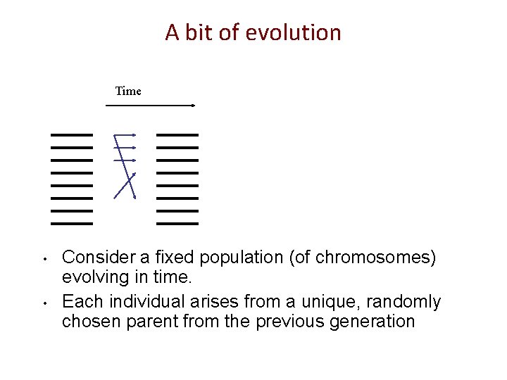 A bit of evolution Time • • Consider a fixed population (of chromosomes) evolving