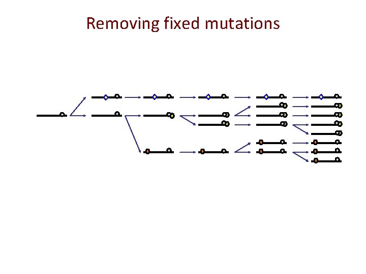 Removing fixed mutations 
