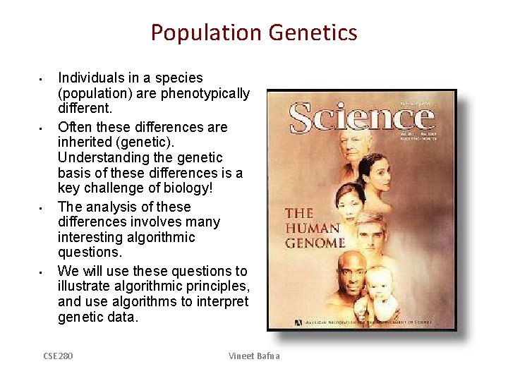 Population Genetics • • Individuals in a species (population) are phenotypically different. Often these