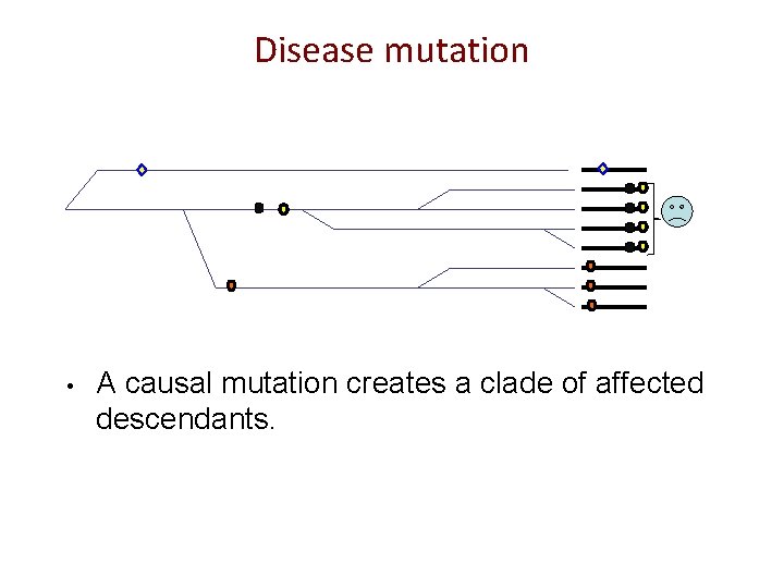 Disease mutation • A causal mutation creates a clade of affected descendants. 