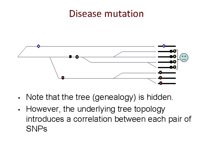 Disease mutation • • Note that the tree (genealogy) is hidden. However, the underlying