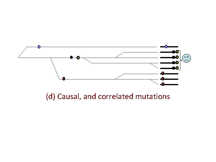 (d) Causal, and correlated mutations 