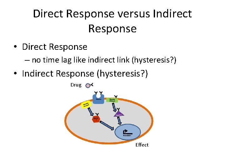 Direct Response versus Indirect Response • Direct Response – no time lag like indirect