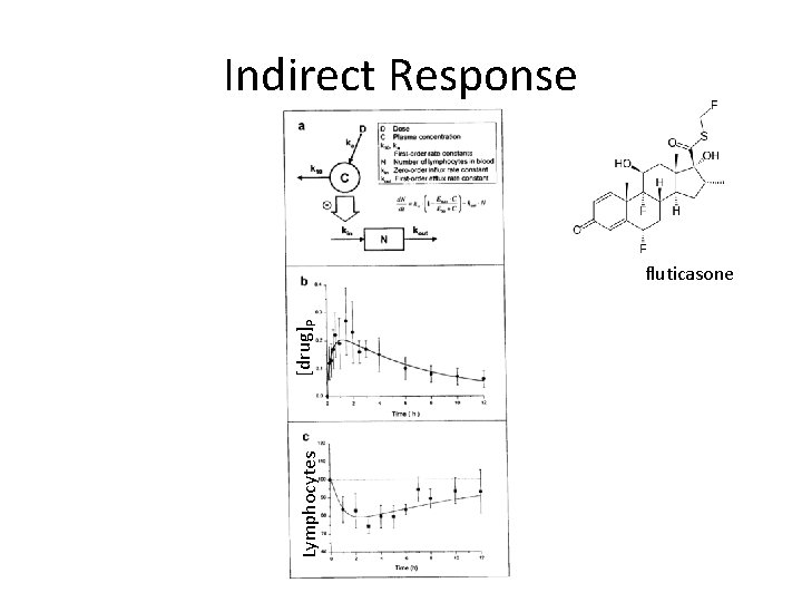 Indirect Response Lymphocytes [drug]P fluticasone 