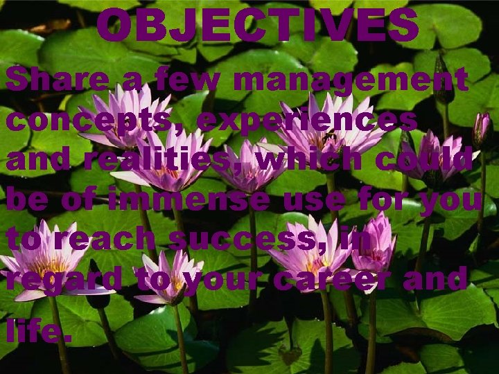OBJECTIVES Share a few management concepts, experiences and realities, which could be of immense