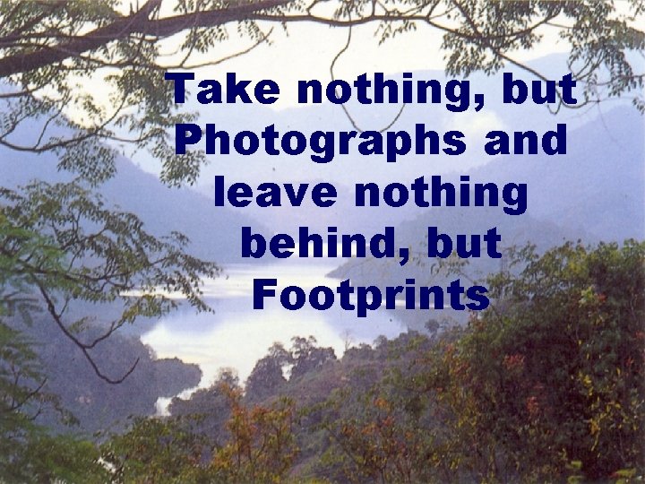 Take nothing, but Photographs and leave nothing behind, but Footprints 