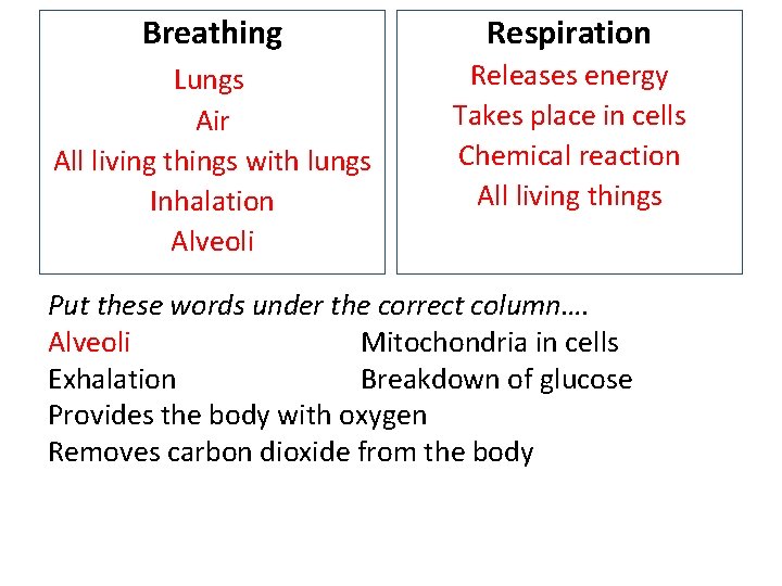 Breathing Respiration Lungs Air All living things with lungs Inhalation Alveoli Releases energy Takes