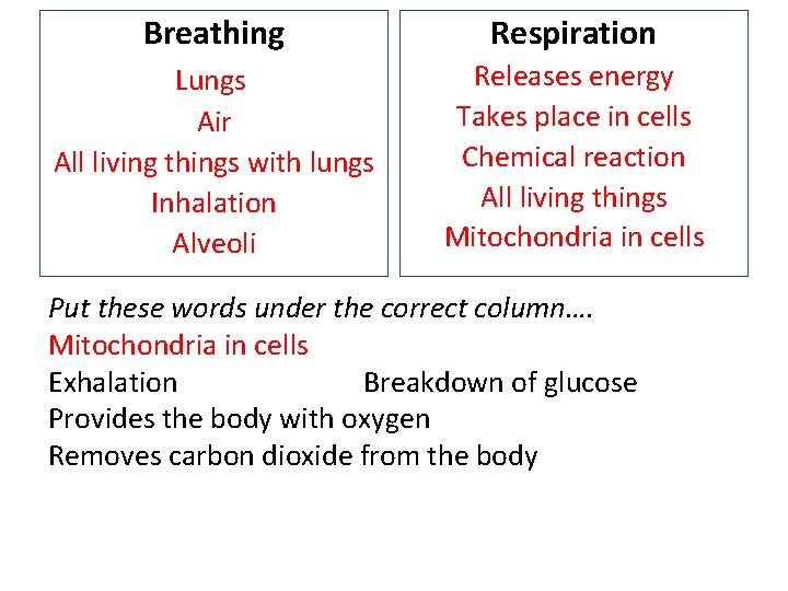 Breathing Respiration Lungs Air All living things with lungs Inhalation Alveoli Releases energy Takes