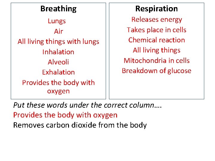 Breathing Respiration Lungs Air All living things with lungs Inhalation Alveoli Exhalation Provides the