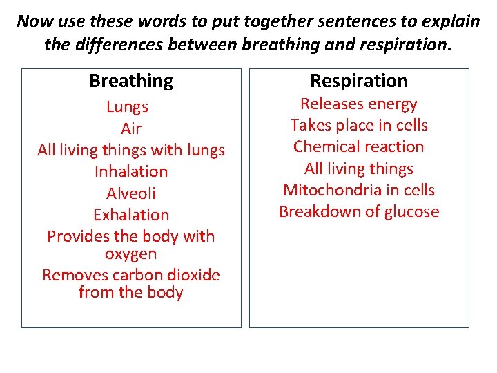 Now use these words to put together sentences to explain the differences between breathing