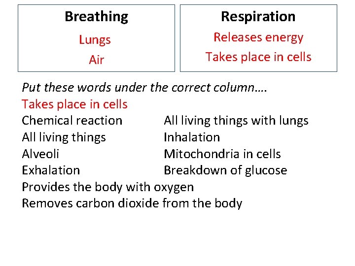 Breathing Respiration Lungs Air Releases energy Takes place in cells Put these words under