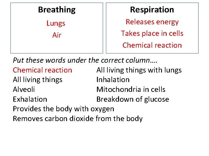 Breathing Respiration Lungs Air Releases energy Takes place in cells Chemical reaction Put these