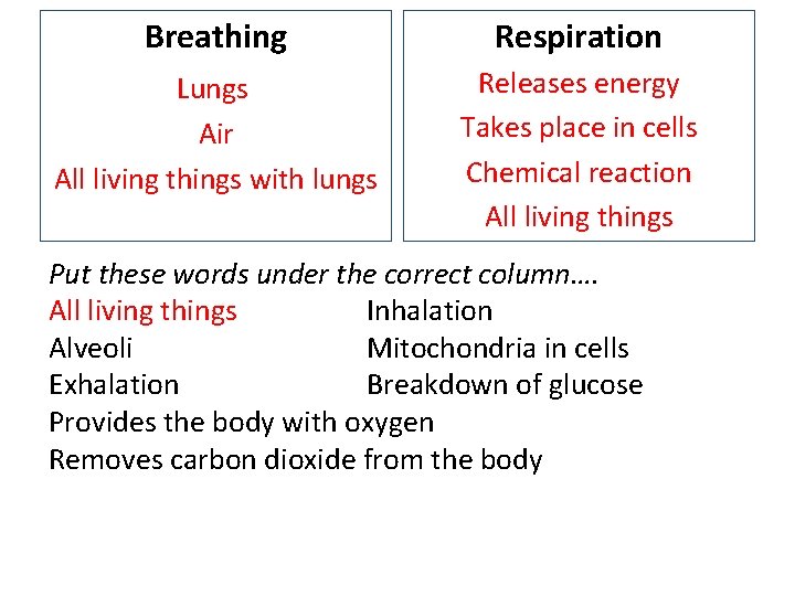 Breathing Respiration Lungs Air All living things with lungs Releases energy Takes place in