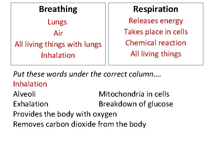 Breathing Respiration Lungs Air All living things with lungs Inhalation Releases energy Takes place