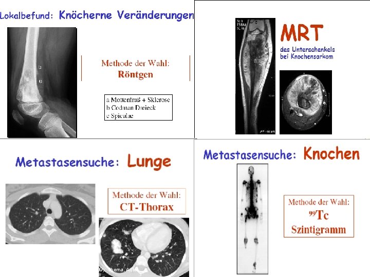 © Universitätsklinikum Leipzig AöR (2009): Thema, Autor 9 