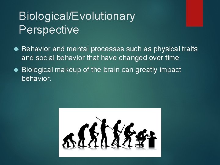 Biological/Evolutionary Perspective Behavior and mental processes such as physical traits and social behavior that