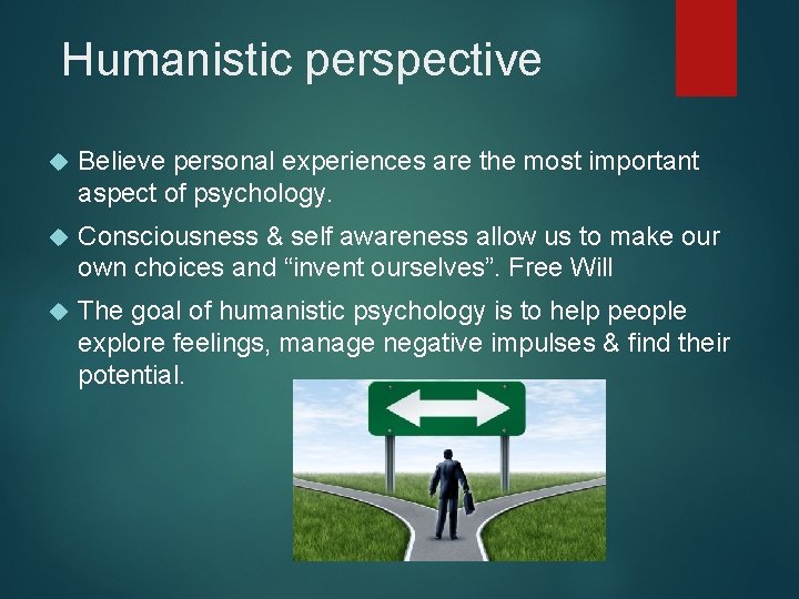 Humanistic perspective Believe personal experiences are the most important aspect of psychology. Consciousness &