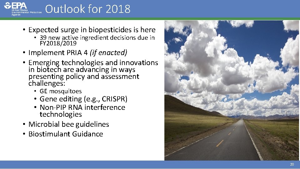 Outlook for 2018 • Expected surge in biopesticides is here • 39 new active