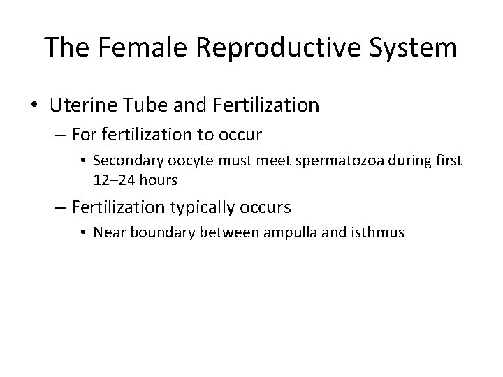 The Female Reproductive System • Uterine Tube and Fertilization – For fertilization to occur