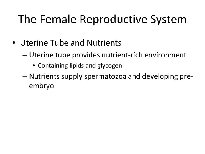 The Female Reproductive System • Uterine Tube and Nutrients – Uterine tube provides nutrient-rich
