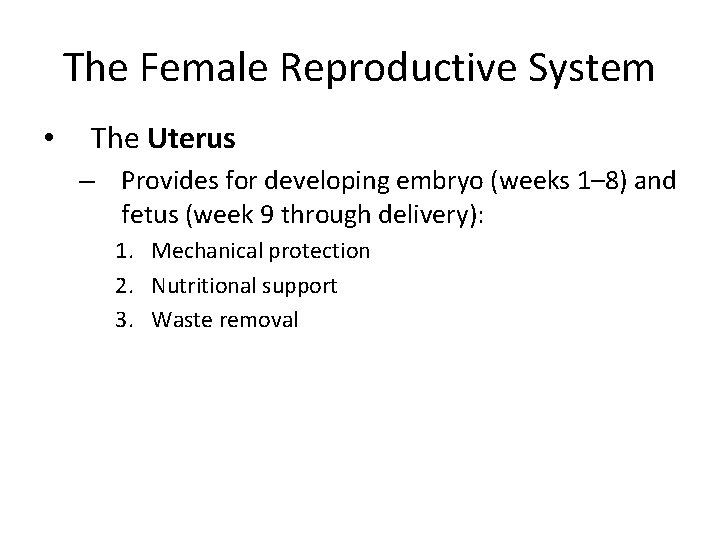 The Female Reproductive System • The Uterus – Provides for developing embryo (weeks 1–