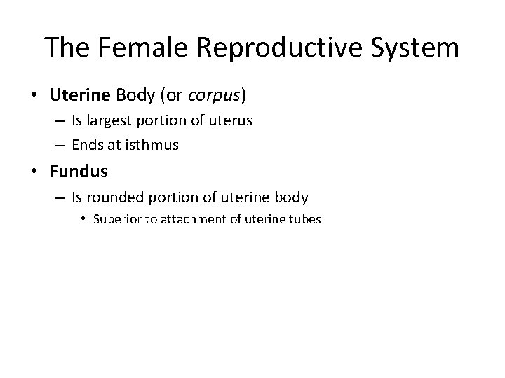 The Female Reproductive System • Uterine Body (or corpus) – Is largest portion of