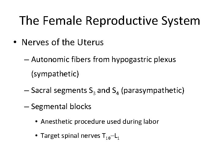 The Female Reproductive System • Nerves of the Uterus – Autonomic fibers from hypogastric