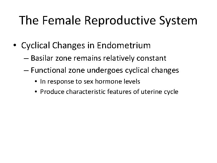 The Female Reproductive System • Cyclical Changes in Endometrium – Basilar zone remains relatively