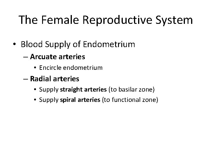The Female Reproductive System • Blood Supply of Endometrium – Arcuate arteries • Encircle