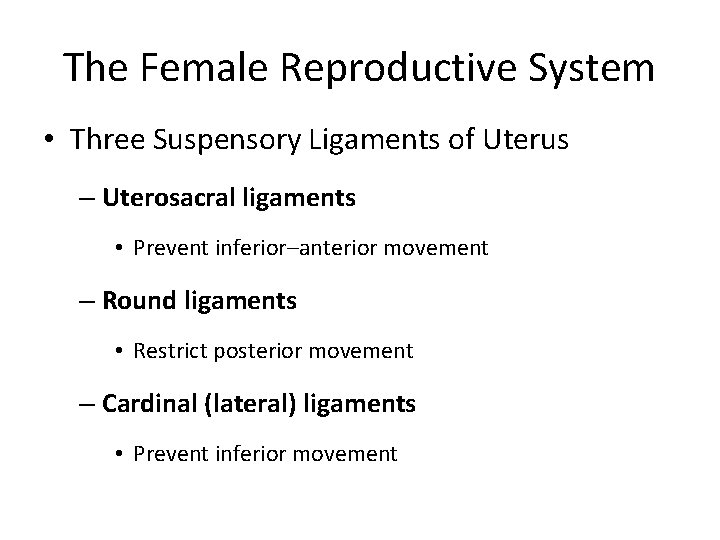The Female Reproductive System • Three Suspensory Ligaments of Uterus – Uterosacral ligaments •