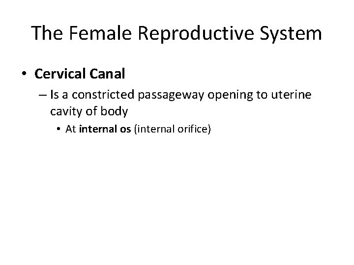The Female Reproductive System • Cervical Canal – Is a constricted passageway opening to