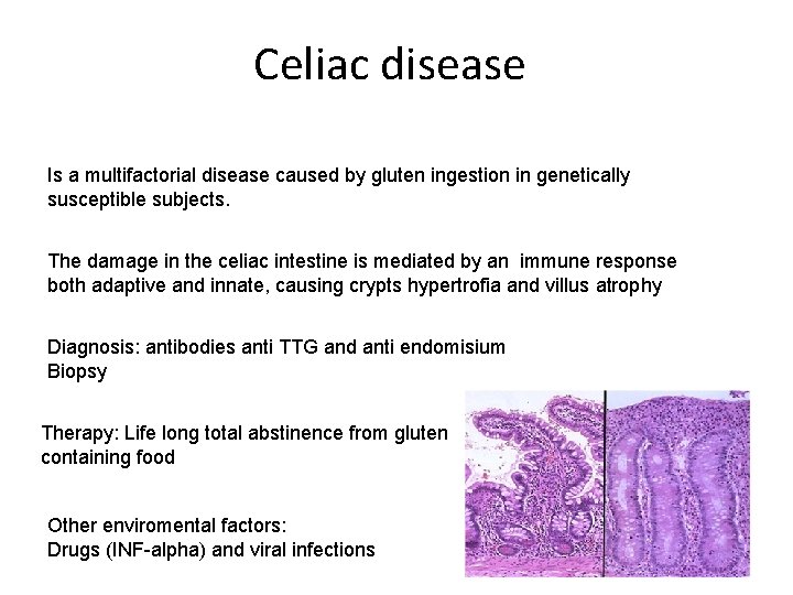 Celiac disease Is a multifactorial disease caused by gluten ingestion in genetically susceptible subjects.