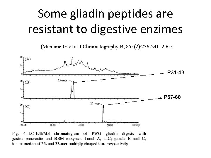 Some gliadin peptides are resistant to digestive enzimes (Mamone G. et al J Chromatography