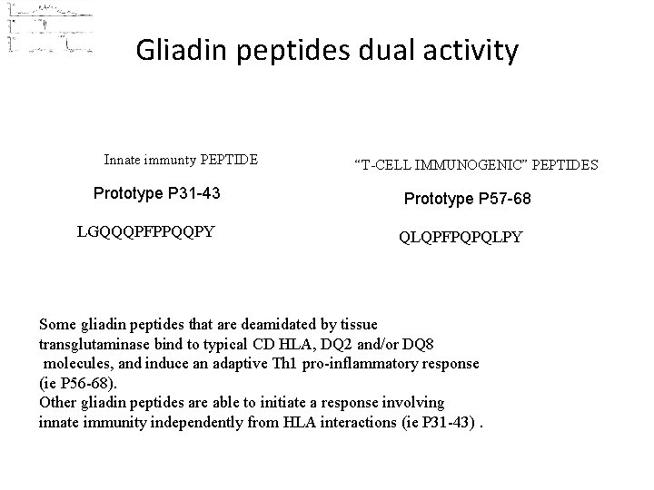 Gliadin peptides dual activity Innate immunty PEPTIDE Prototype P 31 -43 LGQQQPFPPQQPY “T-CELL IMMUNOGENIC”