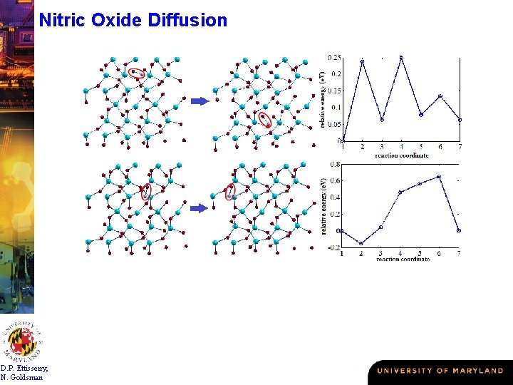 Nitric Oxide Diffusion D. P. Ettisserry, N. Goldsman 
