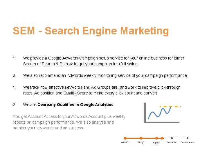 SEM - Search Engine Marketing 1. We provide a Google Adwords Campaign setup service