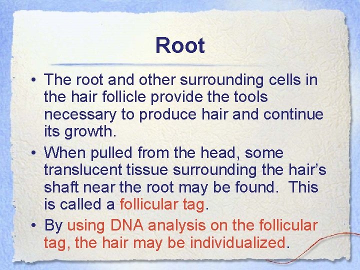 Root • The root and other surrounding cells in the hair follicle provide the