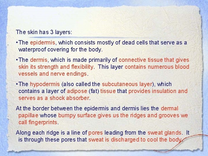 The skin has 3 layers: • The epidermis, which consists mostly of dead cells