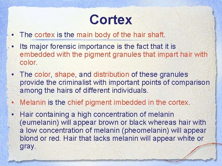 Cortex • The cortex is the main body of the hair shaft. • Its