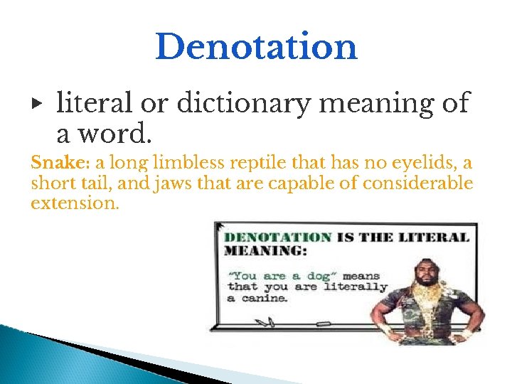 Denotation ▶ literal or dictionary meaning of a word. Snake: a long limbless reptile