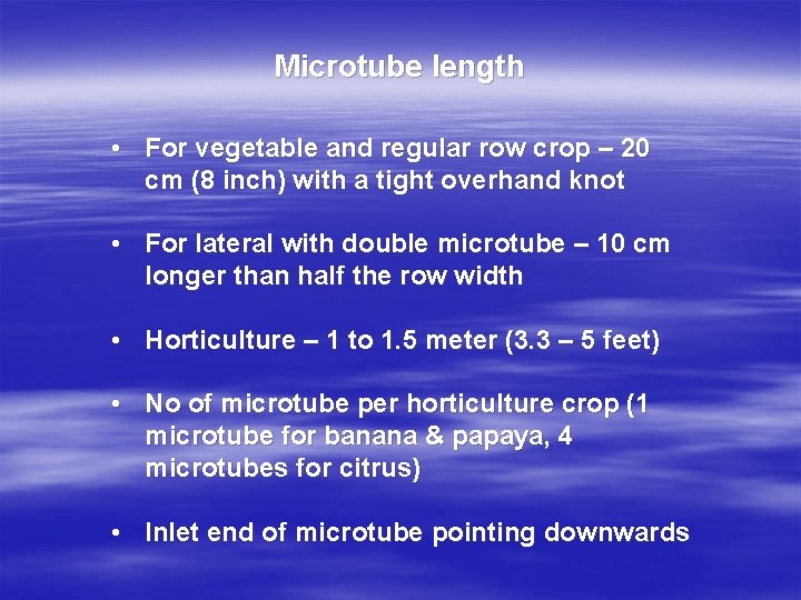 Microtube length • For vegetable and regular row crop – 20 cm (8 inch)