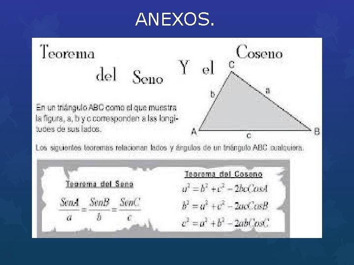 ANEXOS. 