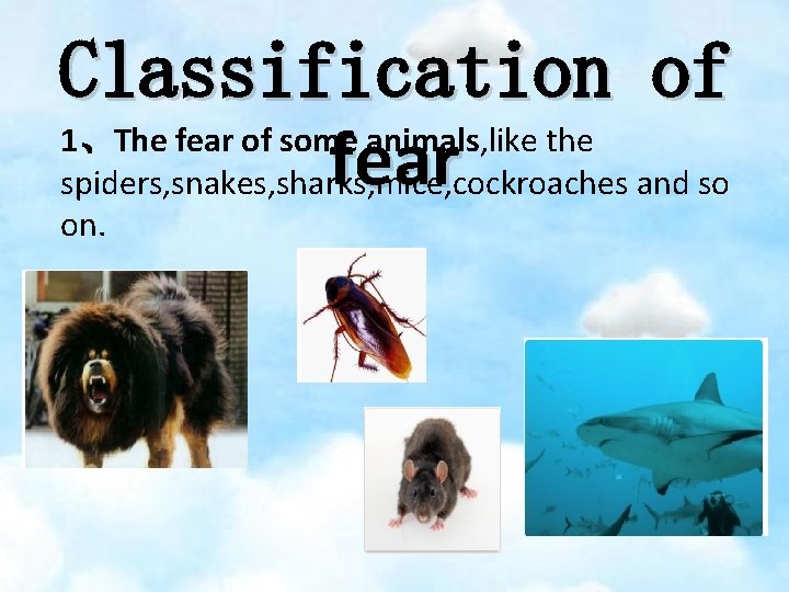 Classification of 1、The fear of some animals, like the fear spiders, snakes, sharks, mice,