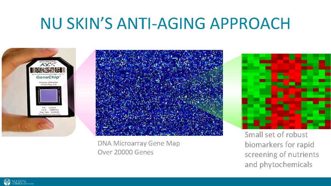 NU SKIN’S ANTI-AGING APPROACH DNA Microarray Gene Map Over 20000 Genes Small set of