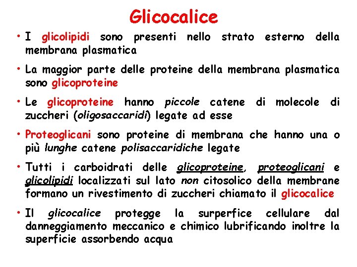 Glicocalice • I glicolipidi sono presenti nello strato esterno della membrana plasmatica • La