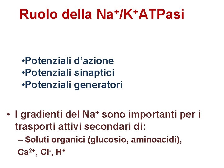 Ruolo della + + Na /K ATPasi Crea gradienti per Na+ e K+ necessari