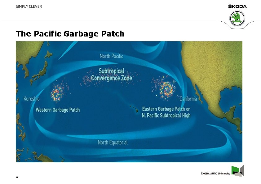 The Pacific Garbage Patch 18 