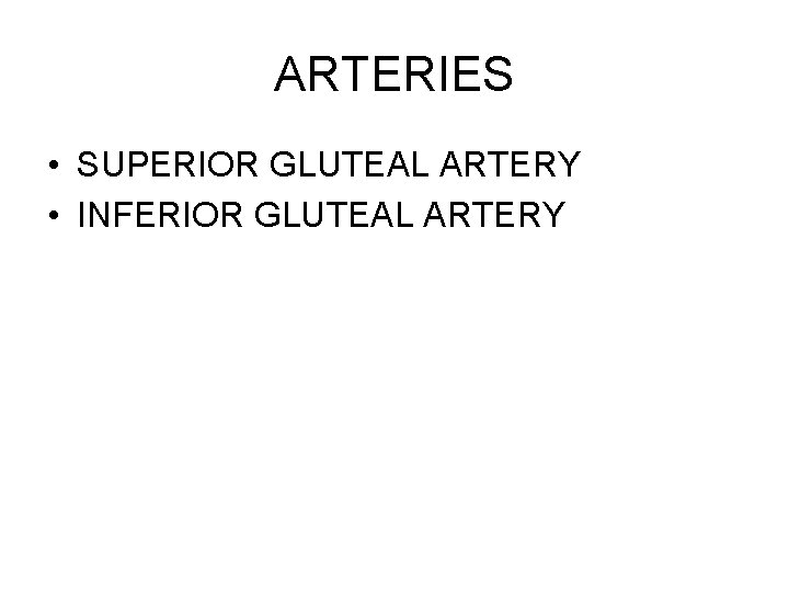ARTERIES • SUPERIOR GLUTEAL ARTERY • INFERIOR GLUTEAL ARTERY 